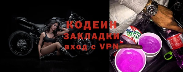 индика Вязники