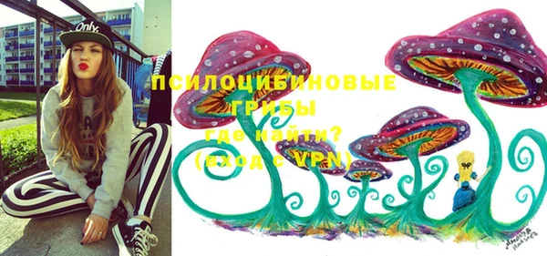 индика Вязники