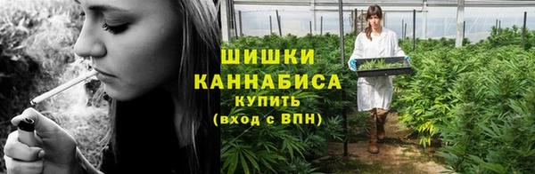 прущий лед Вязьма