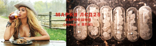 прущий лед Вязьма