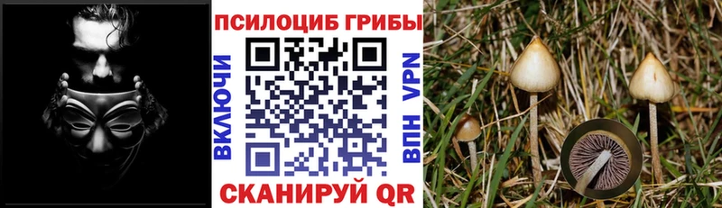 Псилоцибиновые грибы Magic Shrooms  Подпорожье 