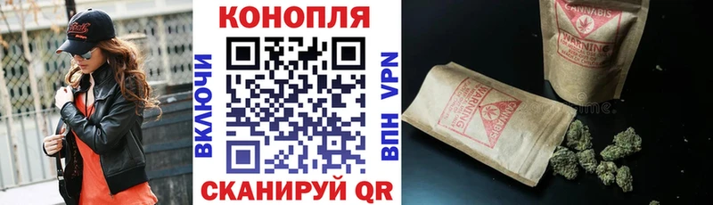 Шишки марихуана семена  Подпорожье 